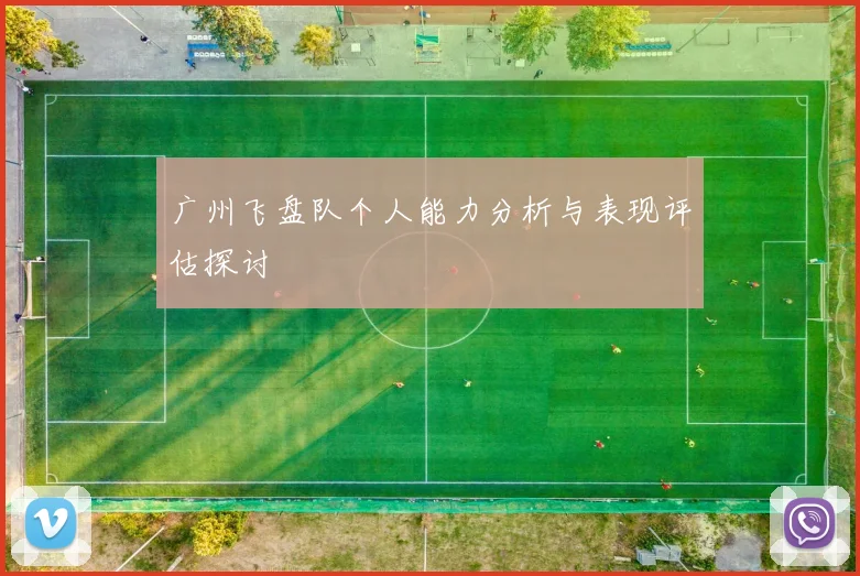 广州飞盘队个人能力分析与表现评估探讨