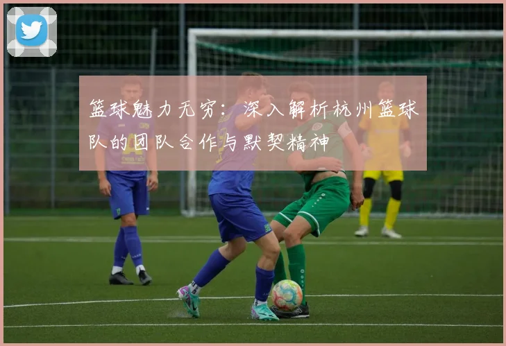 篮球魅力无穷：深入解析杭州篮球队的团队合作与默契精神