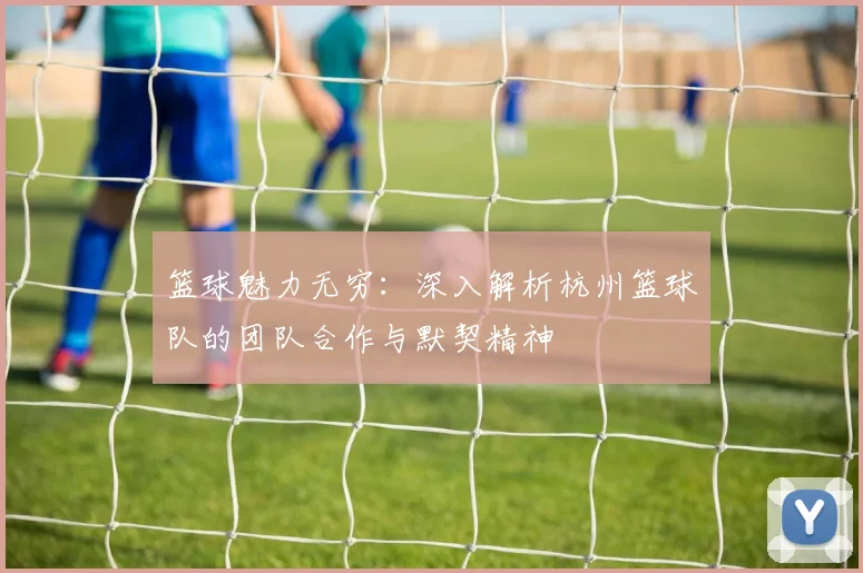 篮球魅力无穷：深入解析杭州篮球队的团队合作与默契精神