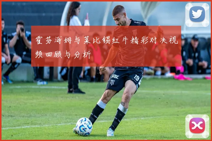 霍芬海姆与莱比锡红牛精彩对决视频回顾与分析