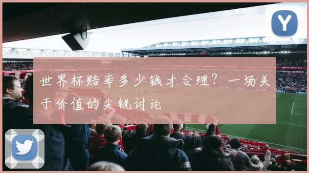 世界杯赔率多少钱才合理?一场关于价值的尖锐讨论