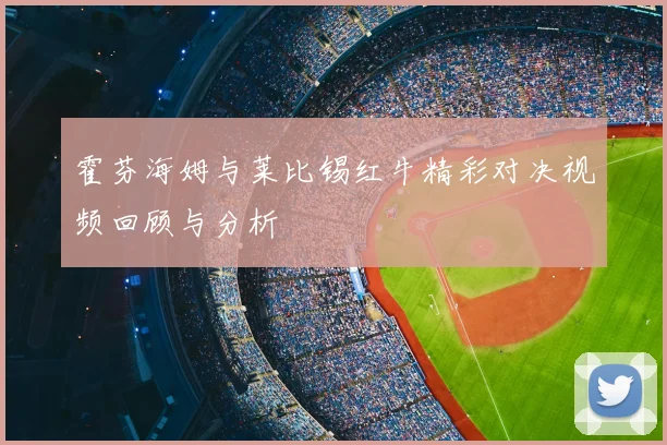 霍芬海姆与莱比锡红牛精彩对决视频回顾与分析