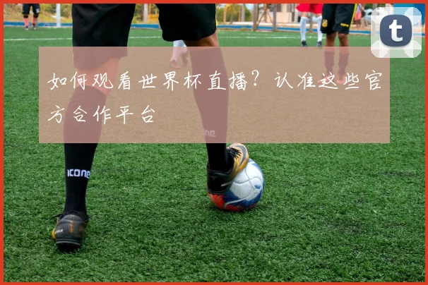 如何观看世界杯直播?认准这些官方合作平台