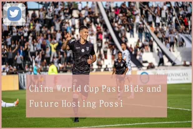 China World Cup Past Bids and Future Hosting Possi