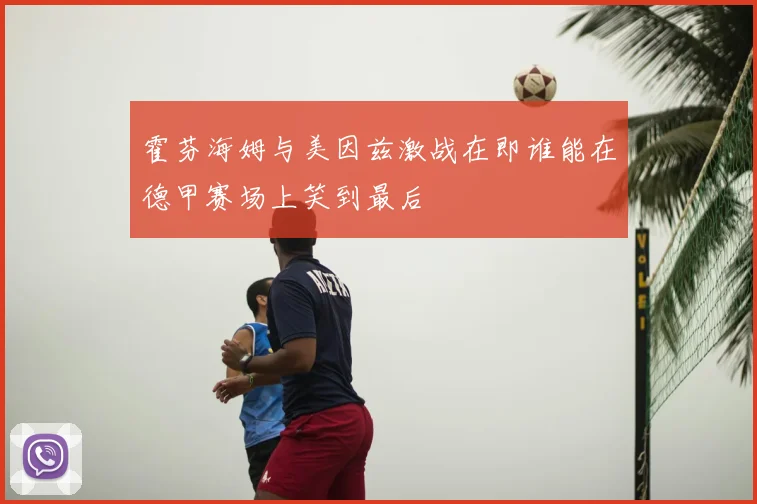 霍芬海姆与美因兹激战在即谁能在德甲赛场上笑到最后